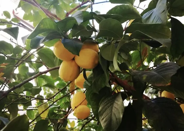 El Limonar De La Ribera Parking Disponible De Pago